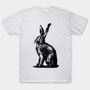 brown hare / rabbit T-Shirt